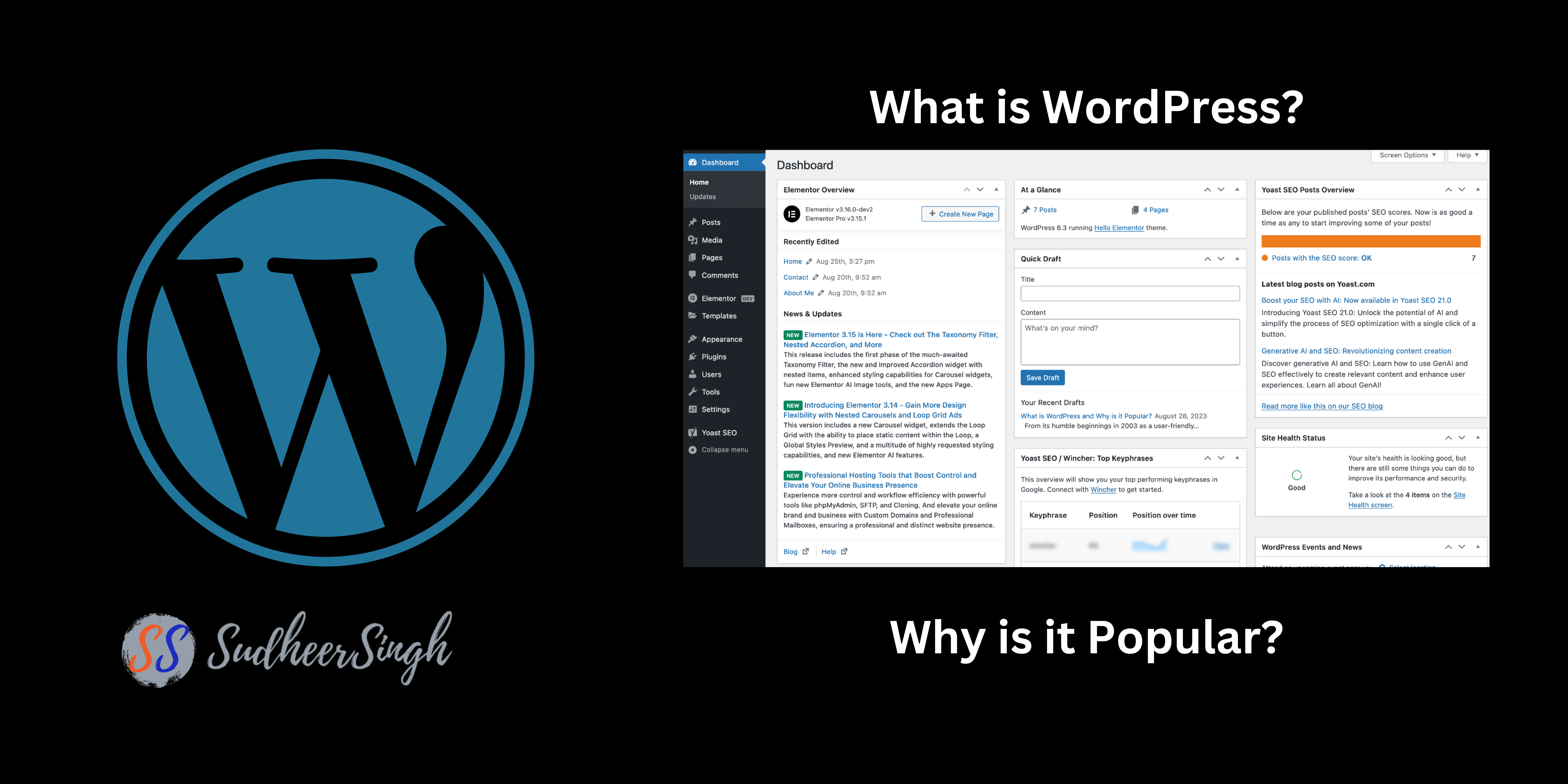 What is WordPress and Why is it Popular?